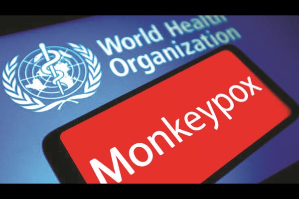 همه آنچه لازم است در مورد بیماری آبله میمون بدانید
