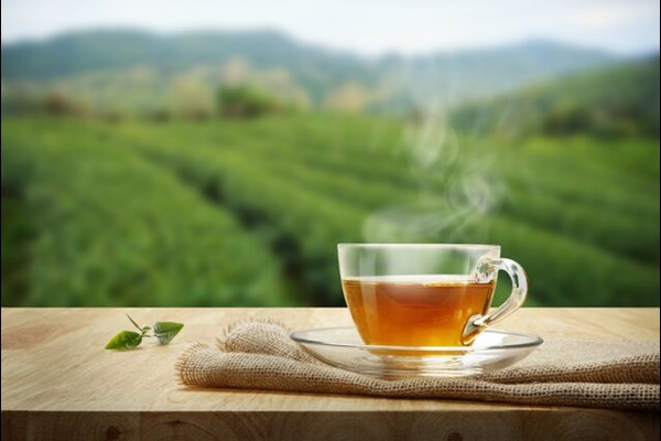 خطرهای باورنکردنی نوشیدن چای دوباره گرم شده