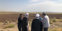 500 هکتار از اراضی موقوفی در البرز به کشاورزی اختصاص یافت