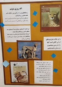 گرامیداشت روز ملی حفاظت از «یوزپلنگ ایرانی» در کرج