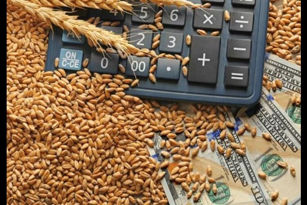 قیمت خرید تضمینی گندم بین ۲۷۵۰۰ تا ۲۹۵۰۰ تعیین شد