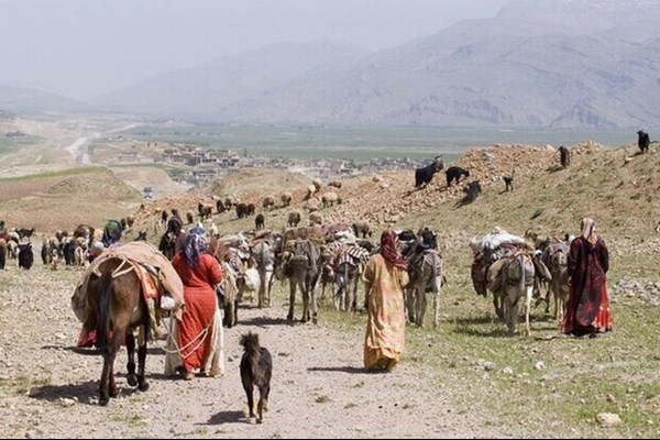 ساماندهی صندوق‌ های اعتبارات خرد جهت توانمندسازی زنان روستایی و عشایری
