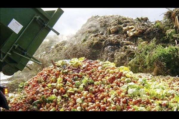 میزان ضایعات ۸ محصول کشاورزی تا ۲ ماه آینده تعیین می‌شود