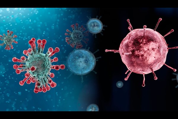 عبور نمونه‌های آنفلوانزا مثبت از آستانه هشدار بالا