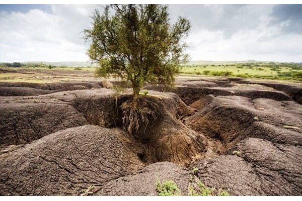 میزان فرسایش خاک البرز ۱۴ تن در هکتار است