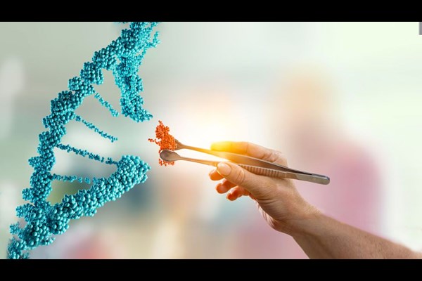 عرضه تجاری ابزار ویرایش ژن در راستای افزایش دقت و سرعت تحقیقات پزشکی