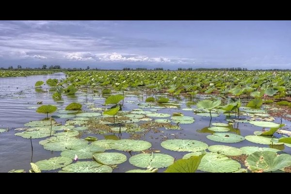 «استقلال» حامی تالاب‌های ایران شد