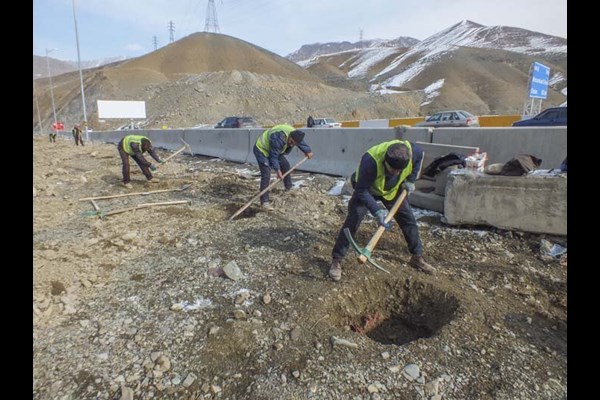 آغاز احداثِ کمربندی سبز و جنگلکاری در حاشیه اتوبان همت و بزرگراه شمالی