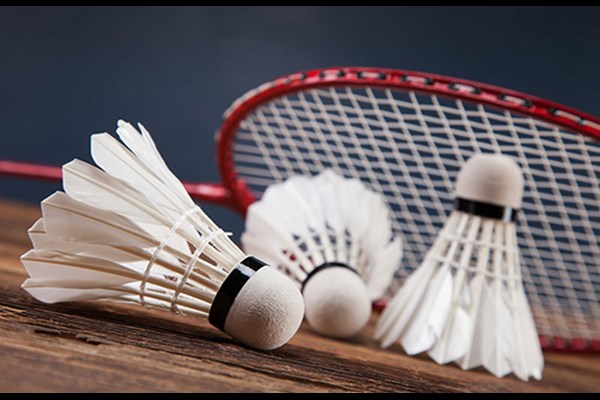  بدمینتون البرز حرفه‌ای می‌شود