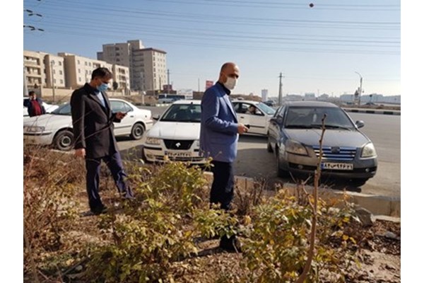 بازدید شهردار شهر جدید هشتگرد از محل قطع درختان