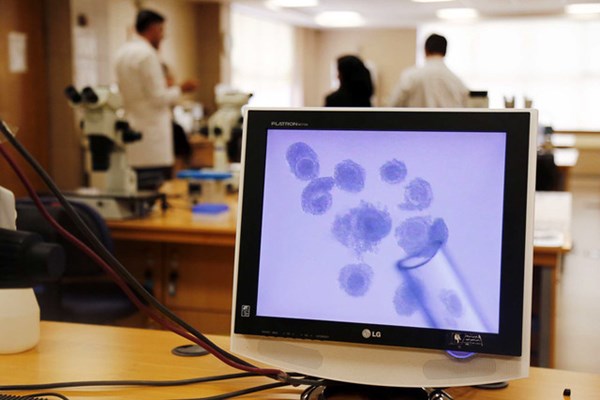 افزایش ۴۰ درصدی بودجه پژوهشگاه‌ها در سال گذشته