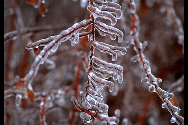 بارش پراکنده برف طی سه روز آینده در البرز