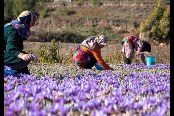 زنان روستایی نخستین حلقه آموزش محیط‌زیست هستند