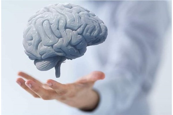 رگ های خونی می توانند بر سلامت مغز تأثیر بگذارند