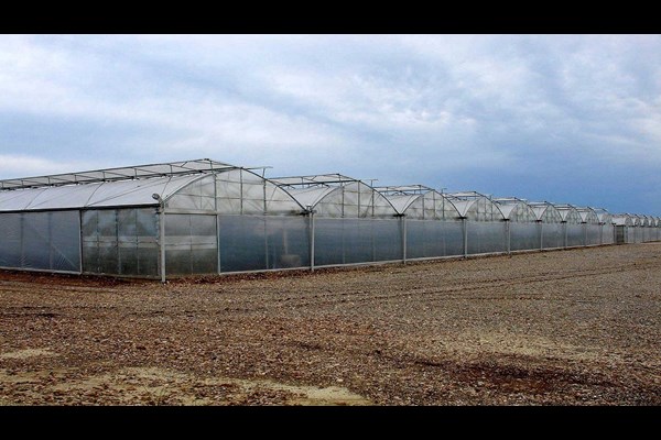 پرداخت ۲۰ هزار میلیارد ریال تسهیلات برای احداث گلخانه‌ها