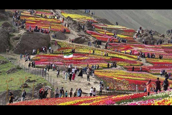   شناسایی 60 ظرفیت گردشگری کشاورزی در البرز