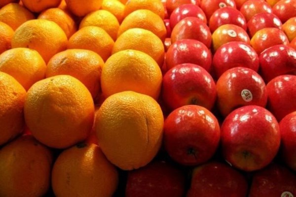  ۲۵ جایگاه عرضه میوه نوروزی در کرج راه‌اندازی شد