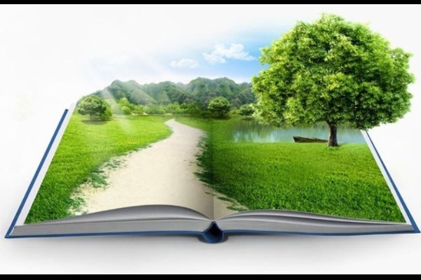 تدوین برنامه ملی درس محیط زیست، حرکت به سوی آموزش 