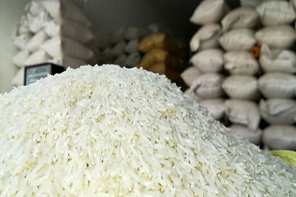 طی دو هفته آینده روند کاهشی قیمت برنج تشدید می‌شود