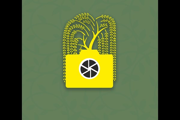«ویان» گامی آغازین در مسیری بلندمدت است