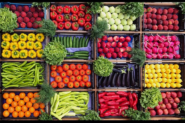 رکوردشکنی در تولید سبزی و صیفی با ۲۶.۲ میلیون تن محصول