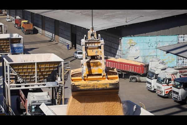 ذخایر فعلی نهاده‌های دامی بالاتر از نیاز ماهانه کشور است