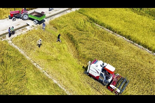 تمامی محصولات کشاورزی باید تا پایان برنامه هفتم شناسه‌گذاری شود