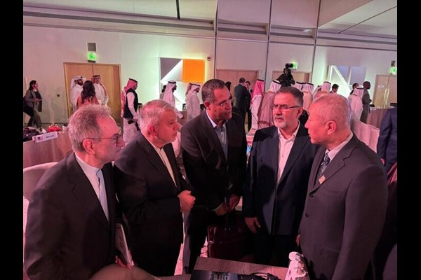 صالحی‌امیری: چین شریک راهبردی ایران در گردشگری است