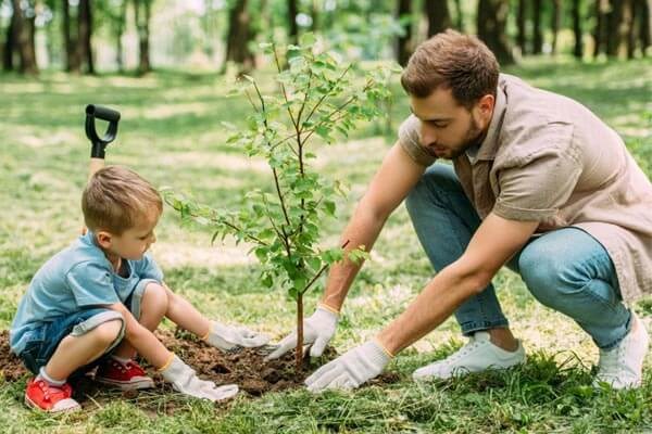 ۴۰۰ اصله درخت در خانه شهروندان کرجی کاشته شد