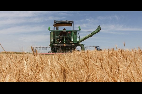 ۹۵ درصد مطالبات گندمکاران پرداخت شد