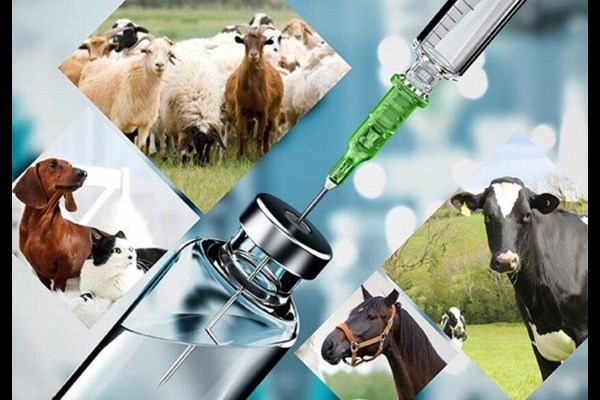 صادرات ۹۰ میلیارد تومانی واکسن‌ در نیمه نخست امسال 