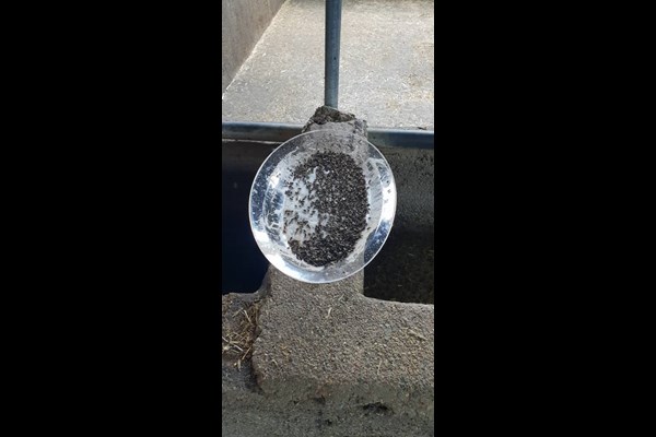 صادرات محصولات مقابله با آفات گیاهان توسط یک  شرکت دانش بنیان  در پارک علم و فناوری البرز 