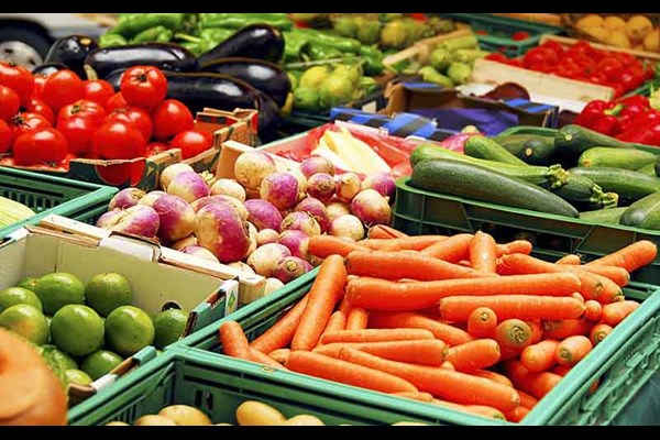 رشد ۳۲ درصدی صادرات محصولات کشاورزی در سال گذشته