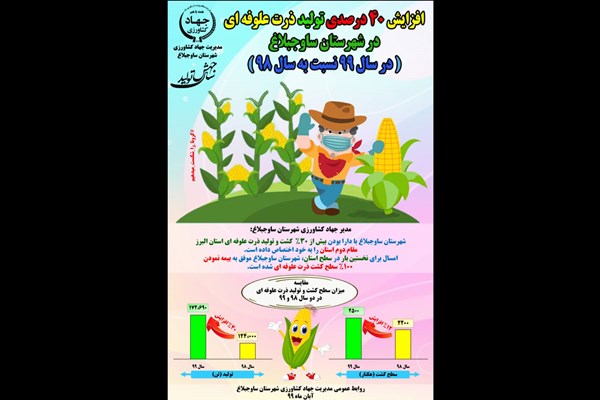  رشد 4۰ درصدی تولید ذرت علوفه‌ای در ساوجبلاغ