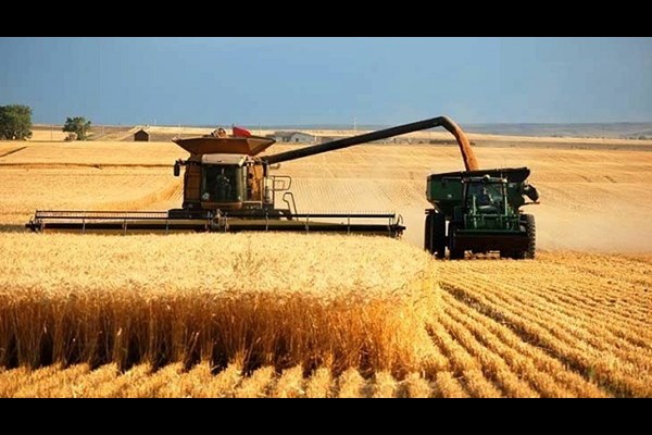 کشف فساد ۷۴۰ میلیاردی در اداره غله استان البرز