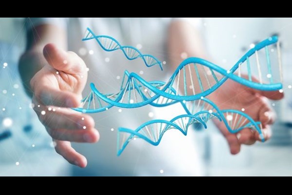 پارانویا اولین زنگ خطر روانی مصرف شیشه است