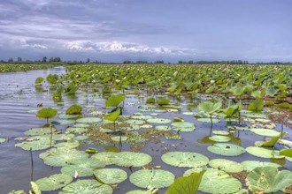 «استقلال» حامی تالاب‌های ایران شد