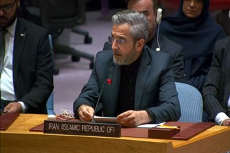 شورای امنیت اسرائیل را مجبور به توقف جنگ غزه کند