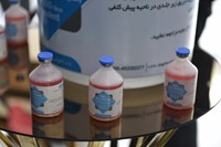 خودکفایی ایران در تولید واکسن تب برفکی