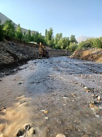 پاکسازی سرشاخه‌های شاهرود به بالادست رودخانه کویین رسید