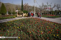 جشنواره گل لاله در باغ گل های کرج